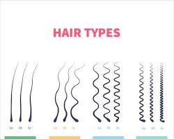 Different hair type